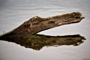 Plau Lagoons, Amt Plau Am See